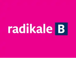 Flag of the Danish Social Liberal Party