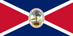 President's flag from 1976 to 1977