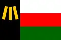 Flag of the Welsh Patriotic Front
