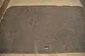Floor decoration from the northern Iraq palace of King Ashurbanipal, visible in the Museum of Louvre, dated 645BC.