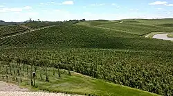 Luiz Argenta