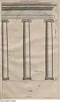 The Ionic order