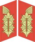 Collar patches