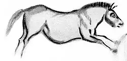 Galloping horse of the Celtic or of the steppe type painted in black and white. After Breuil.