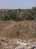 General view - Dhikrin