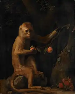 The Monkey (1799), oil on canvas, 70 x 55.9&nbsp;cm., Walker Art Gallery