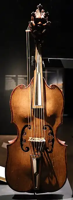 Photograph of a violin-like musical instrument with two additional strings parallel to the neck.