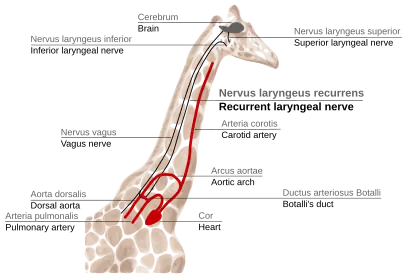 Figure 2f