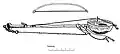 A goge as illustrated by P. G. Harris in his 1932 article Notes on Drums and Musical Instruments Seen in Sokoto Province, Nigeria
