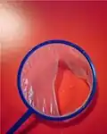 A partly broken poi