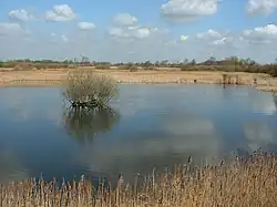 Woodwalton Fen
