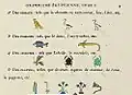 Grammaire égyptienne, chapter I, p. 9