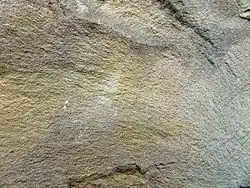 A greywacke rock