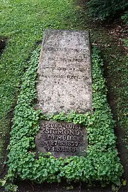 Richard Zsigmondy