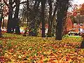 Autumn in Gravel Hill