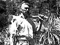A kauri logger working on Great Barrier Island (1934)