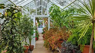 Greenhouse.