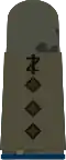 Stabs­arzt (dent. medicine)