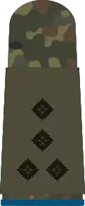 Stabshauptmann (Logistics troops)
