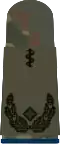 Oberstabsarzt (hum. medicine)