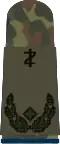 Oberstabsarzt (dent. medicine)