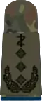 Oberst­arzt (dent. medicine)