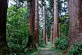 The path to the summit