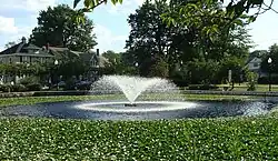 Halcyon Park 2011