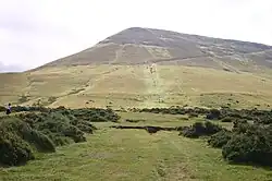 Hay Bluff