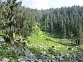 A view of the Hirpora Wildlife Sanctuary from the Mughal Road.