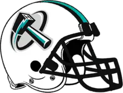 Team helmet