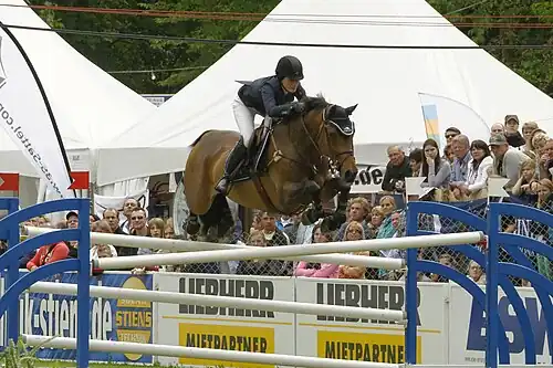 Springsteen on Vindicat W at Wiesbaden, 2013