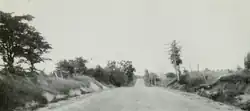A barren road passes through nothingness, trees dot the side of the road