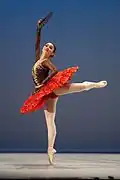 A variation of Don Quixote