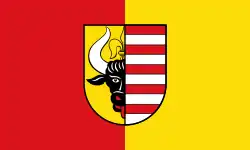 Flag of Penzlin
