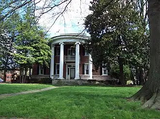 Holly Grove