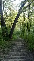 Lakeshore Trail