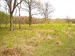 Hook Common