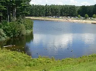 Pond