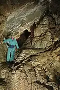 The lower cave at Horne Lake, open to public visitation.