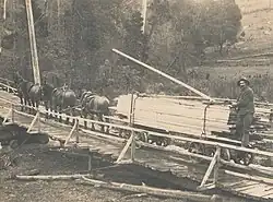 Horse-drawn Poweltown tramway at Black Sands Creek