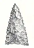 Projectile points