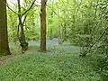 House Copse