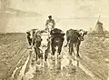 Early Start to Market, 1888, whereabouts unknown (stolen 1922 and never recovered)