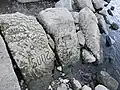 Hungersteine in Laubegast