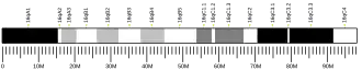 Chromosome 16 (mouse)