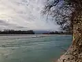 The Piave in the locality of "Sghirlo"