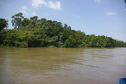 Marajo island