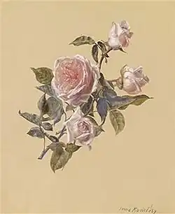 Rose Twig