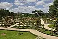 The rose garden